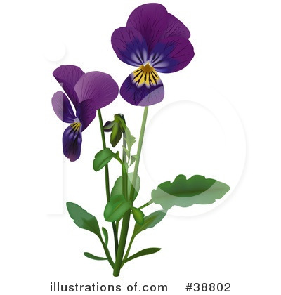 Flower Clipart #38802 by dero