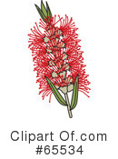 Flower Clipart #65534 by Dennis Holmes Designs