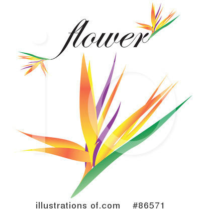 Royalty-Free (RF) Flower Clipart Illustration by Arena Creative - Stock Sample #86571