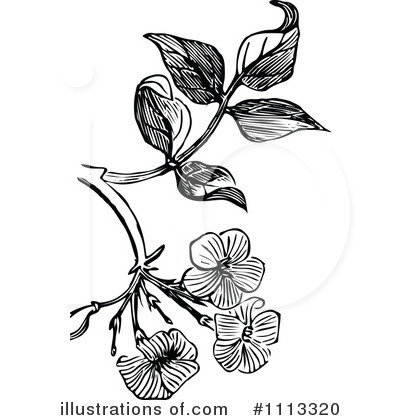 Royalty-Free (RF) Flowers Clipart Illustration by Prawny Vintage - Stock Sample #1113320