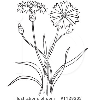 Royalty-Free (RF) Flowers Clipart Illustration by Picsburg - Stock Sample #1129263