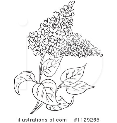 Flower Clipart #1129265 by Picsburg