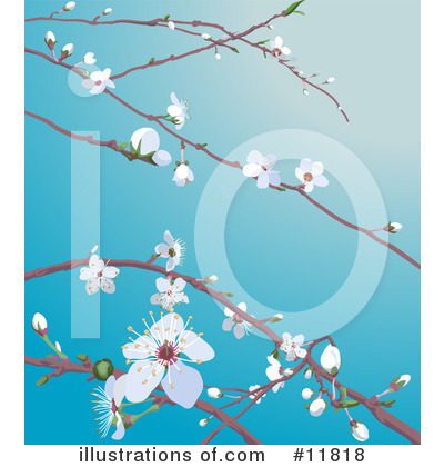 Cherry Blossoms Clipart #11818 by AtStockIllustration