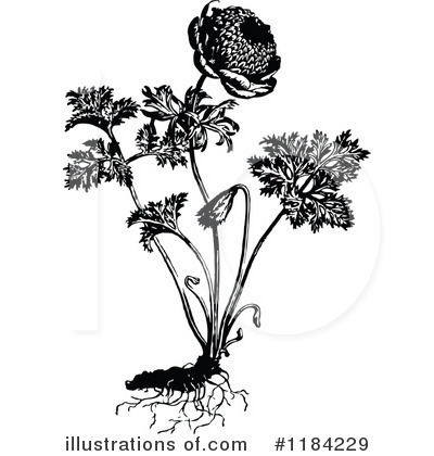 Royalty-Free (RF) Flowers Clipart Illustration by Prawny Vintage - Stock Sample #1184229