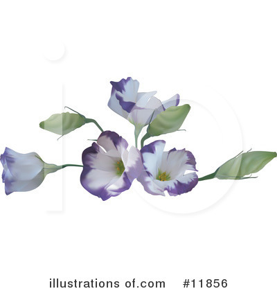 Royalty-Free (RF) Flowers Clipart Illustration by AtStockIllustration - Stock Sample #11856