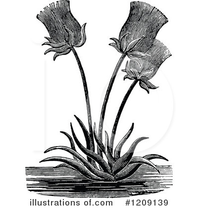 Royalty-Free (RF) Flowers Clipart Illustration by Prawny Vintage - Stock Sample #1209139