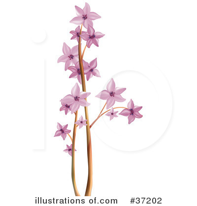 Royalty-Free (RF) Flowers Clipart Illustration by dero - Stock Sample #37202