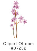 Flowers Clipart #37202 by dero