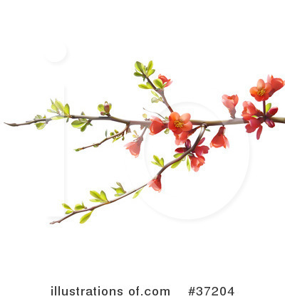Royalty-Free (RF) Flowers Clipart Illustration by dero - Stock Sample #37204