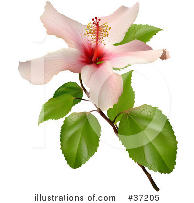 Royalty-Free (RF) Flowers Clipart Illustration by dero - Stock Sample #37205