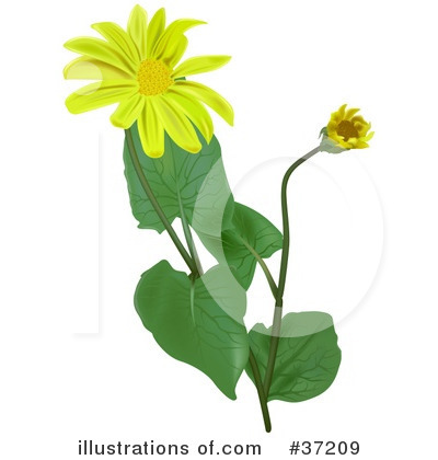 Royalty-Free (RF) Flowers Clipart Illustration by dero - Stock Sample #37209