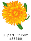 Flowers Clipart #38360 by dero