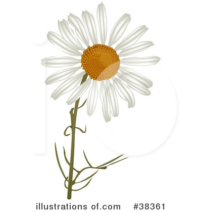 Royalty-Free (RF) Flowers Clipart Illustration by dero - Stock Sample #38361