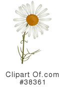 Flowers Clipart #38361 by dero