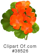 Flowers Clipart #38526 by dero