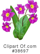 Flowers Clipart #38697 by dero