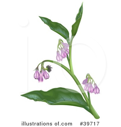 Royalty-Free (RF) Flowers Clipart Illustration by dero - Stock Sample #39717