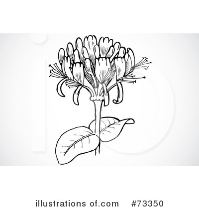 Royalty-Free (RF) Flowers Clipart Illustration by BestVector - Stock Sample #73350