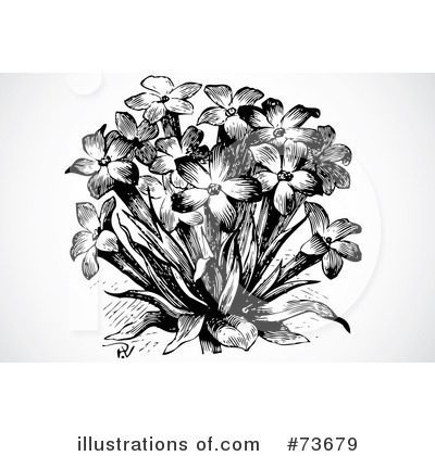 Royalty-Free (RF) Flowers Clipart Illustration by BestVector - Stock Sample #73679