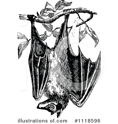 Royalty-Free (RF) Flying Bat Clipart Illustration by Prawny Vintage - Stock Sample #1118596