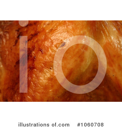 Turkey Clipart #1060708 by Kenny G Adams