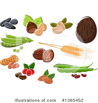 Coffee Berries Clipart #1365452 by Vector Tradition SM