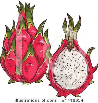 Dragon Fruit Clipart #1416654 by Vector Tradition SM
