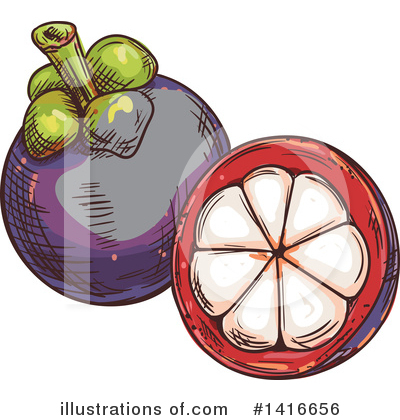 Mangosteen Clipart #1416656 by Vector Tradition SM