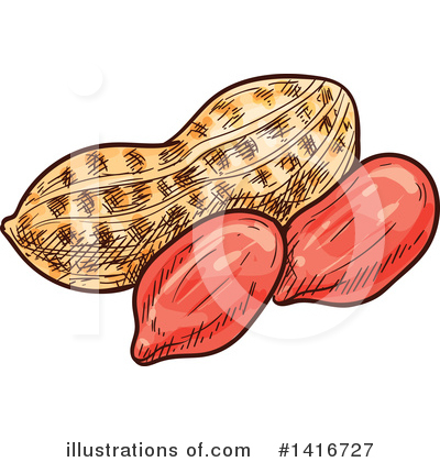 Peanut Clipart #1416727 by Vector Tradition SM