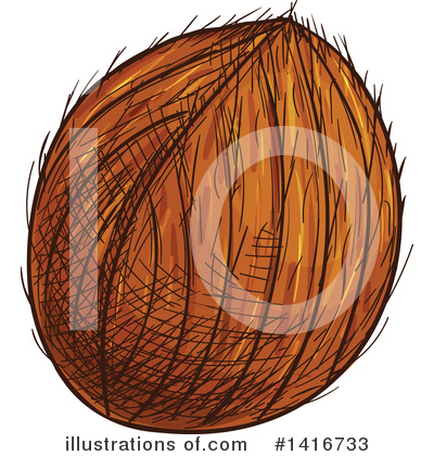 Coconut Clipart #1416733 by Vector Tradition SM