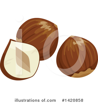 Hazelnut Clipart #1420858 by Vector Tradition SM
