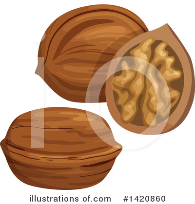 Walnut Clipart #1420860 by Vector Tradition SM