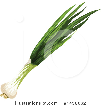 Green Onions Clipart #1458062 by Vector Tradition SM