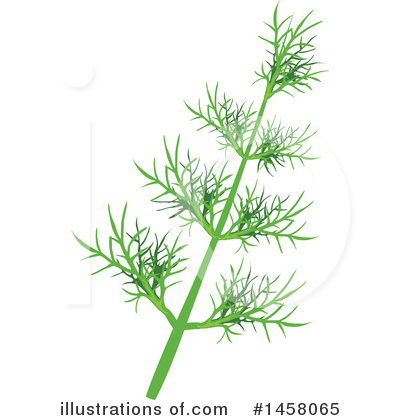 Fennel Clipart #1458065 by Vector Tradition SM