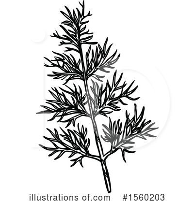 Fennel Clipart #1560203 by Vector Tradition SM