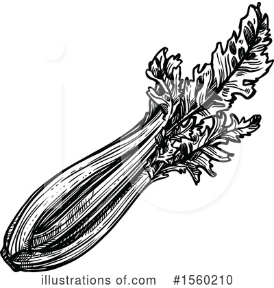 Celery Clipart #1560210 by Vector Tradition SM