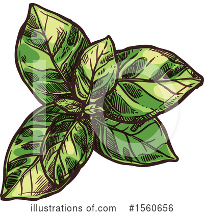 Basil Clipart #1560656 by Vector Tradition SM