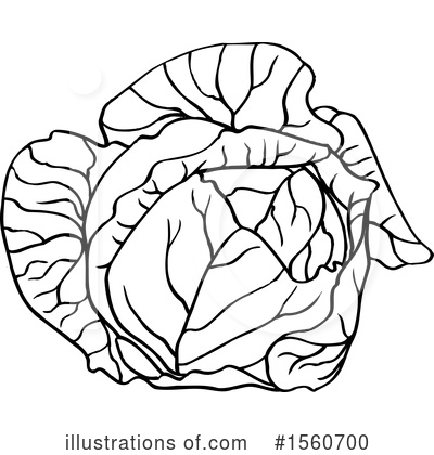 Cabbage Clipart #1560700 by Lal Perera