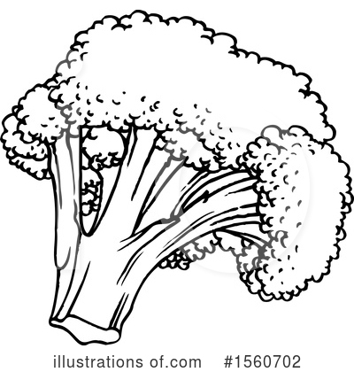 Broccoli Clipart #1560702 by Lal Perera