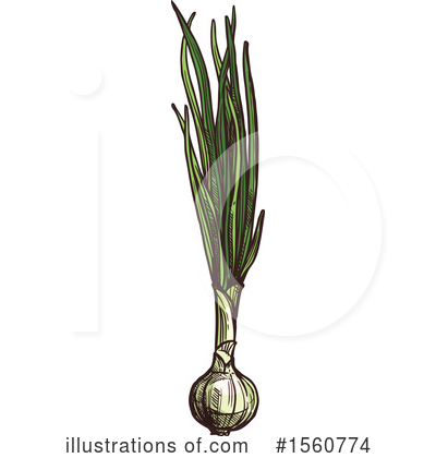 Green Onions Clipart #1560774 by Vector Tradition SM