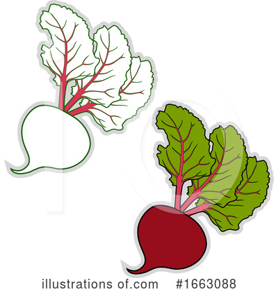 Carrot Clipart #1663088 by Morphart Creations