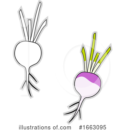 Turnip Clipart #1663095 by Morphart Creations