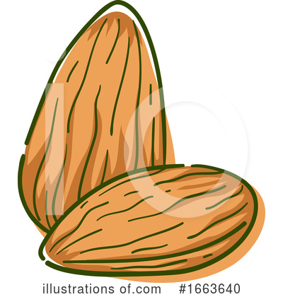 Nuts Clipart #1663640 by BNP Design Studio