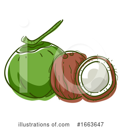 Coconut Clipart #1663647 by BNP Design Studio
