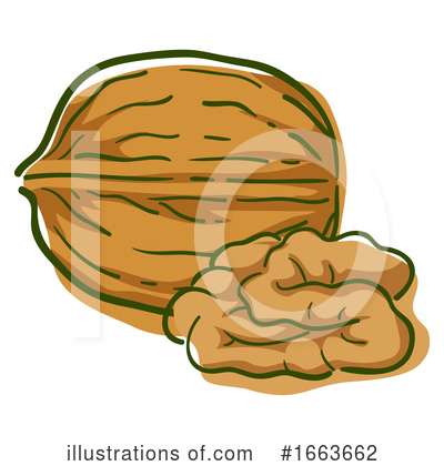 Walnut Clipart #1663662 by BNP Design Studio