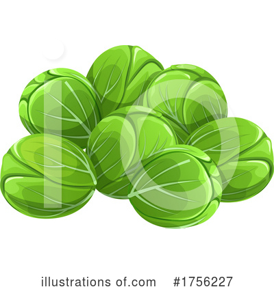 Brussels Sprouts Clipart #1756227 by Vector Tradition SM