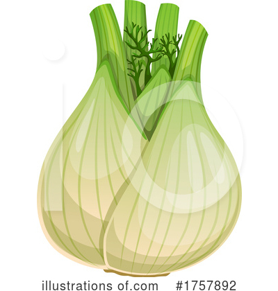 Fennel Clipart #1757892 by Vector Tradition SM