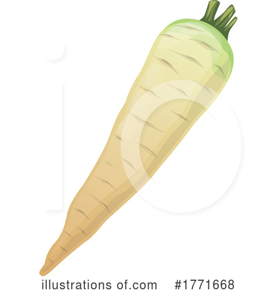 Parsnip Clipart #1771668 by Vector Tradition SM