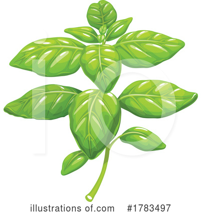 Basil Clipart #1783497 by Vector Tradition SM