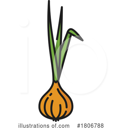 Onion Clipart #1806788 by Vector Tradition SM